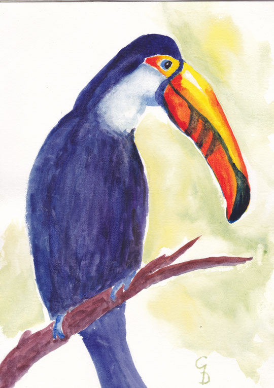 Tucan, A4, €150