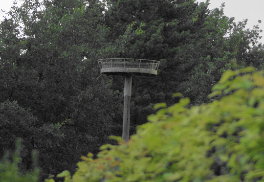 Nest der Familie Lüder Herbst 2008