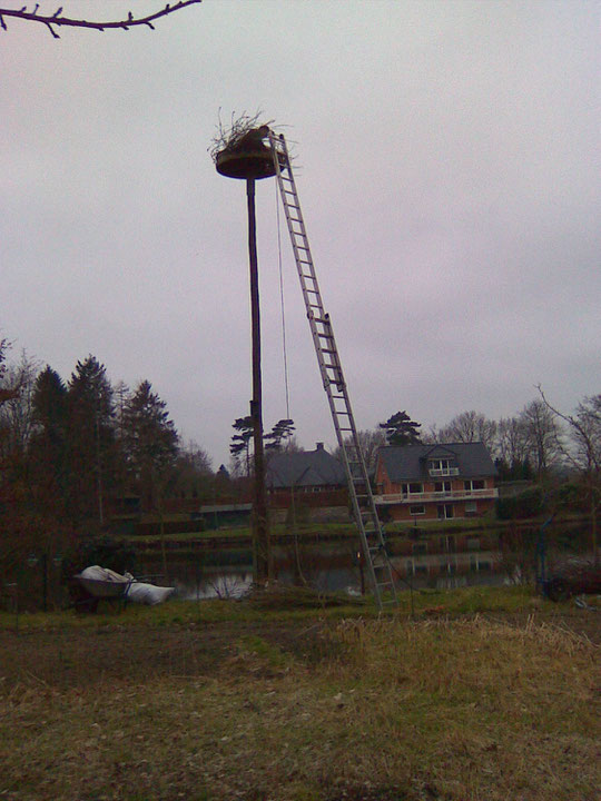 Vorbereiten des Nest 27 bei der Familie Lüder 06.03.09