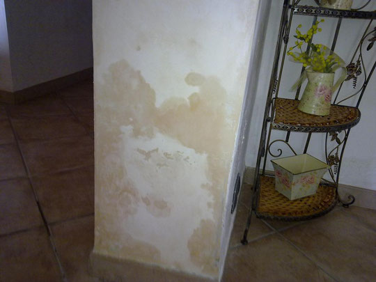 Muffa,umidita soluzione muffa,umidita sui muri ,muri umidi,check ... Muffa di risalita