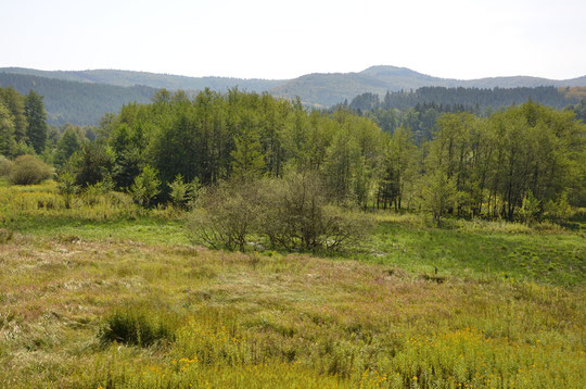 Vue sur les Vosges du Nord depuis nos prairies