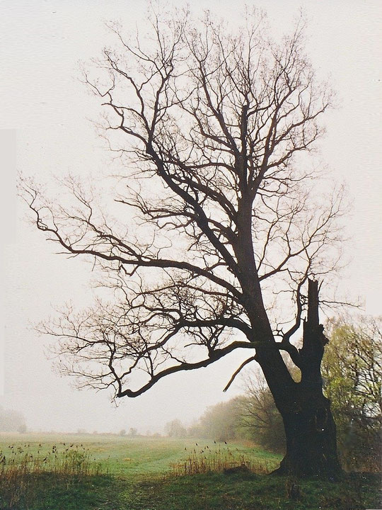 Foto vom 13. April 2002 von Heinrich Golbach
