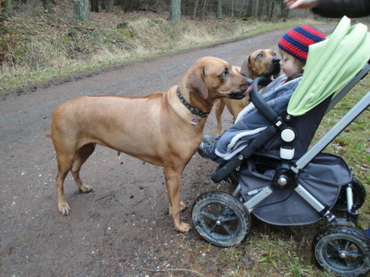 Nanga mit ihrem kleinen Freund Henry und RRFreundin Nala