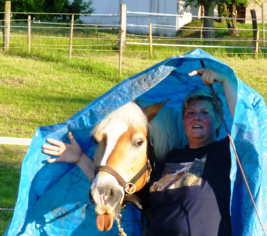 Mai 2014 - Pfinzgauranch