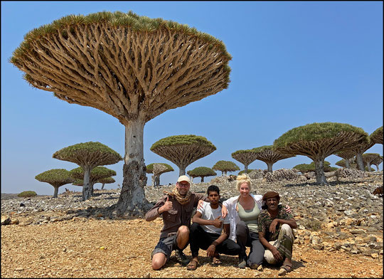 The Socotra herping team from left to right: Bobby, Yehya, Laura and Ali.