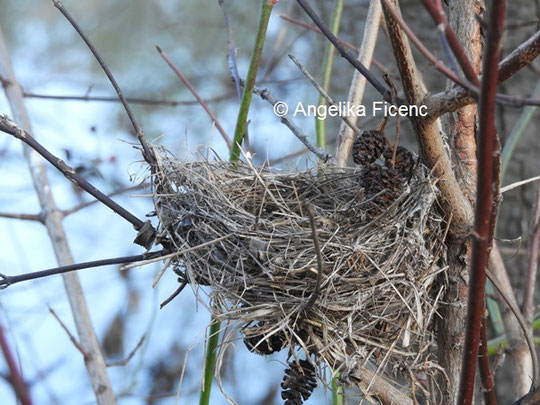 Unbestimmtes Nest © Mag. Angelika Ficenc