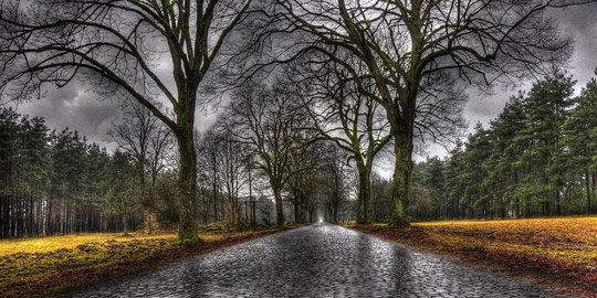 Old Road to the Bombed out Village - Sennelager Ranges