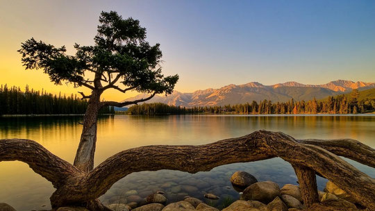 Paisajes Hermosos Unciondeloalto Jimdo Page
