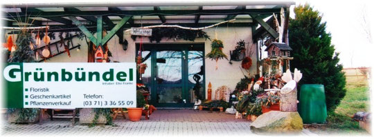Grünbündel Chemnitz