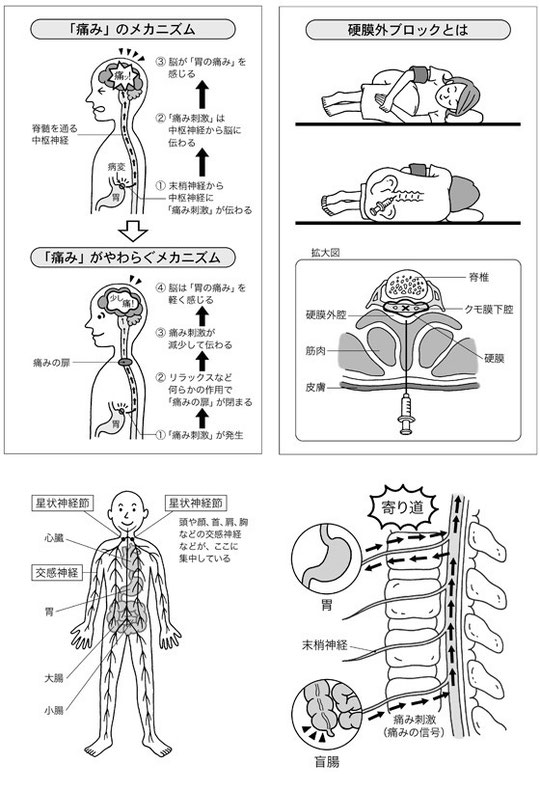 あなたの「痛み」常識は間違いだらけ（河出書房新社）