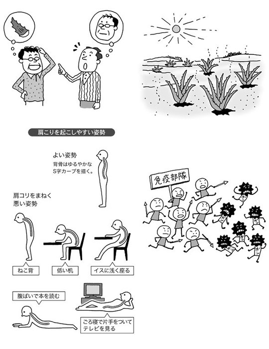 家族の健康を守るアロエベラ（現代書林）