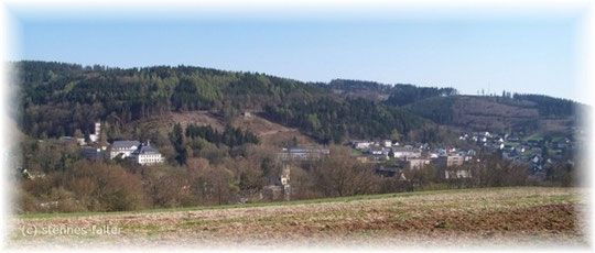 Schleiden im Tal versteckt