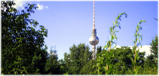 Das Bild zeigt den Fernsehturm in Berlin von Kreuzberg aus gesehen. Auf dem Foto sieht man Pflanzen, die auf dem ehemaligen Mauerstreifen der Grenze wachsen. Die Mauer zeigt bis heute ihre Spuren.
