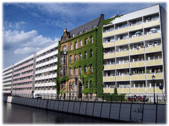 Bilder von Plattenbauten in Mitte, dazwischen steht vereinzelt noch ein Altbau aus der Zeit vor dem Weltkrieg. Das Bild zeigt einen Altbau, der mit Efeu umrankt ist. Bilder von Wohnhäusern in der DDR.