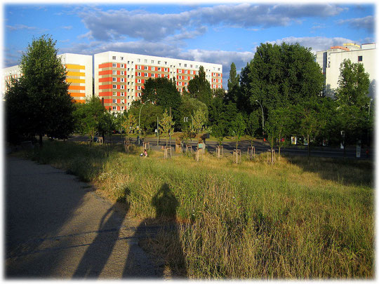Bilder von Plattenbauten in Hohenschönhausen. In Berlin Hohenschönhausen stehen zahlreiche sanierte hübsche Plattenbauten. Fotos von Plattenbauwerken in Berlin.