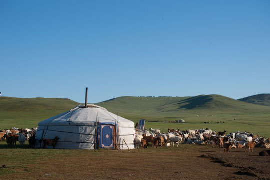 モンゴルの移動式テント住宅の画像です。