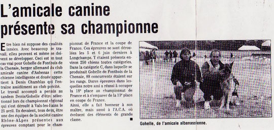 race canine : bouvier bernois,saint bernard,berger allemand