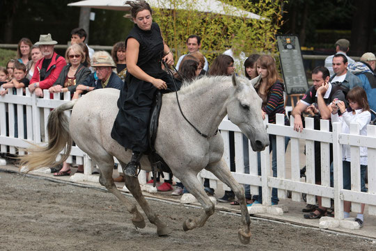 2011, Equestria Tarbes; tableau en collier d'encolure (jument Jardineira).