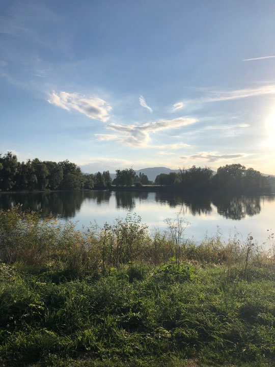 Der wunderschöne Bodensee