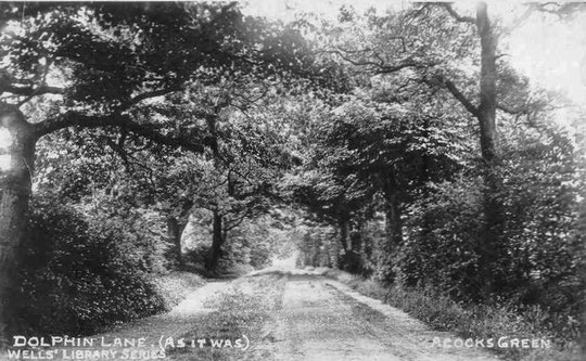 Dolphin Lane