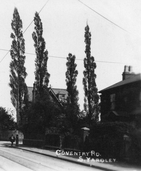 Belmont and its garden to the corner of Forest Road, with Hillcrest beyond, from an early 20th century postcard.