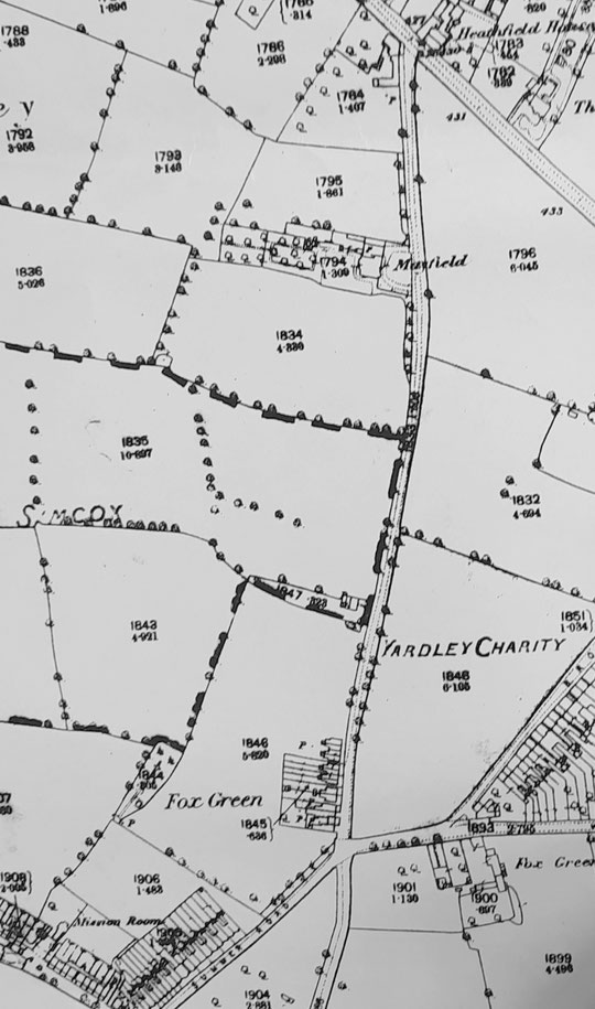 Fox Hollies Road north, O.S. 1888. The smallholding is visible between Mayfield and the terraces. (Birmingham Libraries)