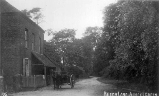 Beech Lane, c. 1905