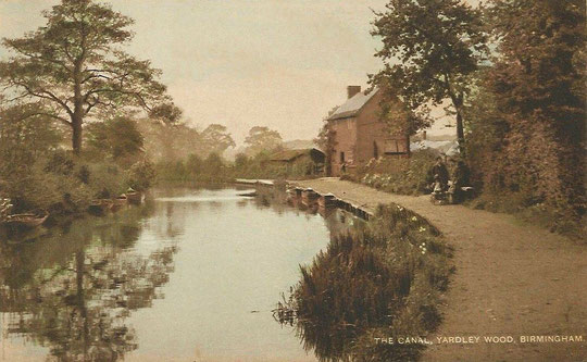 A delightful view of the cottage and boats for hire