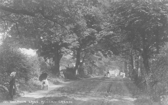 Dolphin Lane c. 1905