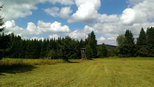 Schwarzwald - Wandern rund um Feldberg_Bild:Barbara Riess