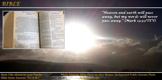 Mark 13:31
