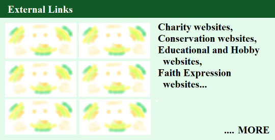 Link to Selected External Links on Hearts Philippines and Then Some