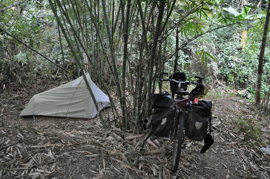 Campement de Matt dans un champ de bambous