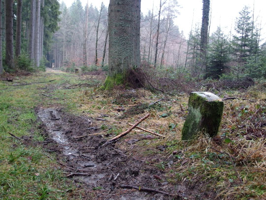 An einem Waldweg steht dieser Stein, ebenfalls mit D und L darauf