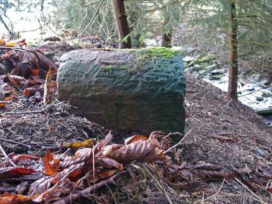 Ein mächtiger Stein, an der Markungsgrenze Locherhof/Lackendorf