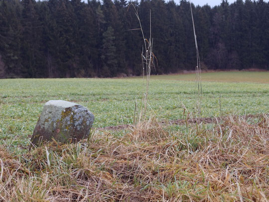 Unweit der Ruine Birnburg, steht dieser Stein zwischen Dunningen und Lackendorf