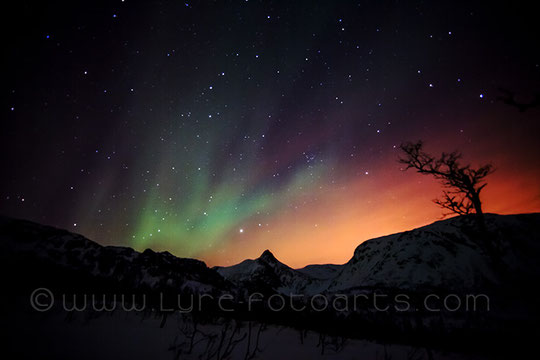 2014.03.04 - 23.04 lokal time:  Norwegen, Insel Senja  (Norway, Island of Senja)