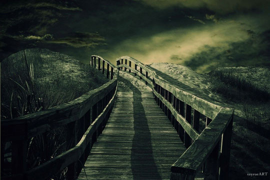 Into the Dark