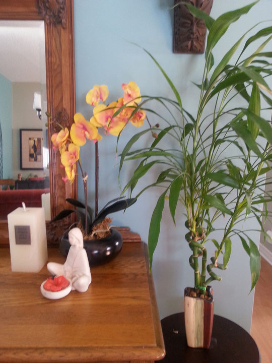 I must be really lucky because this Lucky Bamboo has thrived in this tiny pot for 13 years!