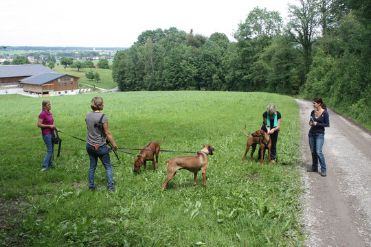 Nicole mit Rayha, Tanja mit Bomani, Meret mit Anyango und Chantal