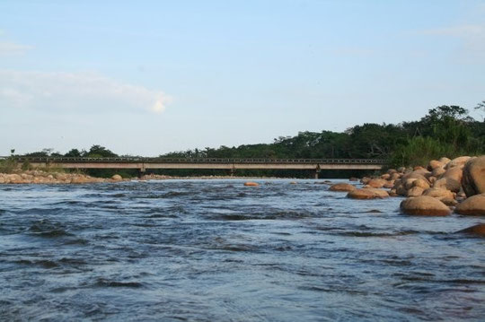 rio tame magestuoso