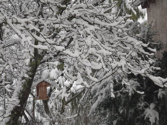 neige, hiver