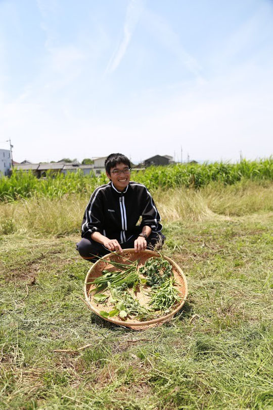 私たちの祖先は古来、野山の植物を食べて生きてきました。