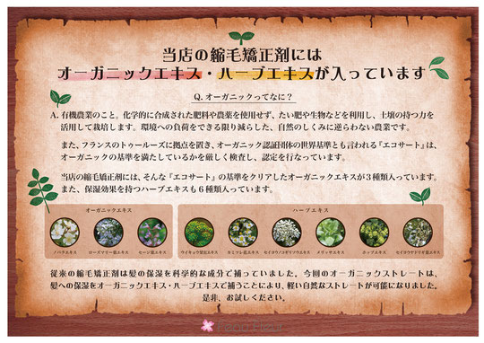 New Menu ハーティハリーズ 美容ディーラー 熊本