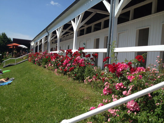 Blick in Richtung Schwimmbad-Cafe