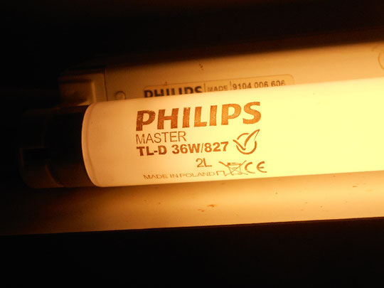 Philips Master TL-D 36W/827 (Poland)