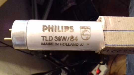 Philips TLD 36W/84 (Holland)