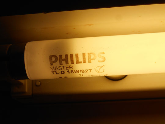 Philips Master TL-D 18W/827