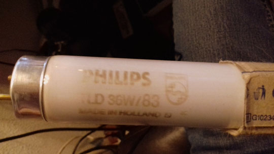 Philips TLD 36W/83 (Holland)