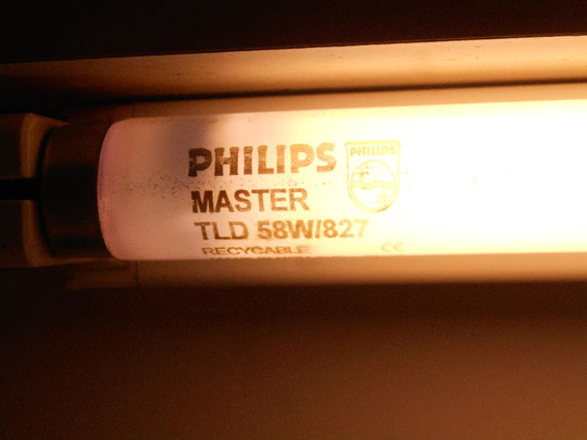 Philips Master TLD 58W/827 Recyclable (Holland)